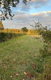 Couler des jours heureux à Raizeux »