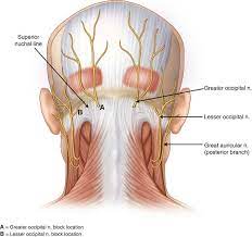 Check spelling or type a new query. Headache And Neck Pain Is It Possible That Nerve Compression Is To Blame