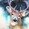 Deer portraits illustrations & vectors. 1