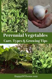 25 seeds $3.50 250 seeds $16.50. 15 Perennial Vegetables Care Types And Growing Tips Happy Diy Home