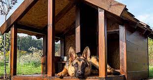 This site has plans for different doghouses. 20 Free Diy Dog House Plans Care Com