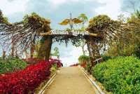 Harga bali safari park berlaku sekarang (hari ini) hingga 28 februari 2021. Promo Tiket Masuk Sea World Ancol 11 31 Januari 2021 Cek Harganya