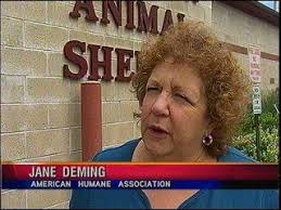 Big Donation Received by Warwick Animal Shelter