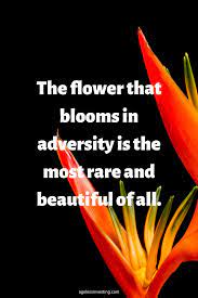 Pin On Inspirational Quotes And Words To Live By