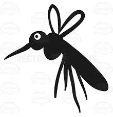 Closeup Of Black Mosquito Bug Insect Facing Left Mosquito Bug Bugs And Insects Mosquito