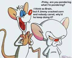 The brain and pinky infiltrate the secret organization of world leaders where they endure humiliating initiation rites to succeed in their latest scheme. 14 Pinky And The Brain Quotes Ideas Pinky Animaniacs Brains Quote