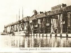 Două lebede moarte, infectate cu gripă aviară, au fost găsite în portul constanța. Poze Vechi Din Portul Constanta