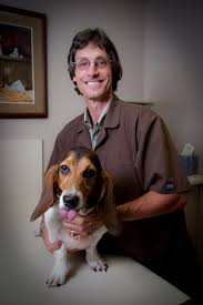All pets must be current on flea prevention. Our Doctor Jacksonville Cabot Veterinary Clinic Cabot Ar
