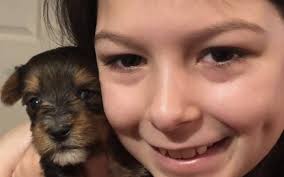 Turmeric Orange Mango Tango