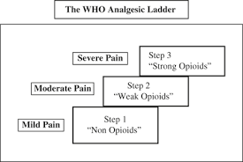 Gv12, si11, si3, and gb39 selecting 4~5 mean points and 2~4 auxiliary points each time, right and left were alternately treated. A Stepwise Approach To Pain Management Chapter 12 The Essence Of Analgesia And Analgesics
