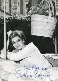1966 catherine spaak vintage original photo french actress the empty canvas. Catherine Spaak Movies Autographed Portraits Through The Decadesmovies Autographed Portraits Through The Decades