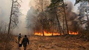 Transform your incendio by adding water into the adaptor and connecting it to your atomizer base. Incendio Forestal Se Acerca A Antigua Planta Nuclear De Chernobyl En Ucrania