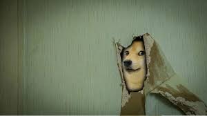 At memesmonkey.com find thousands of memes categorized into thousands of categories. Wallpaper Id 118855 Doge Memes Animals Simple Background
