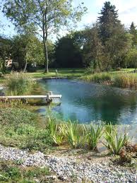 Pin By Gartenart Swimming Ponds On On The Outside Natural Swimming Pools Natural Swimming Ponds Swimming Pond