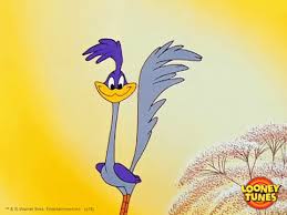 Afbeeldingsresultaat voor roadrunner cartoon