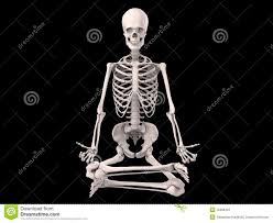 Find the perfect skeleton sitting chair stock photo. Skeleton Sitting Skeleton Sitting In Chair Sitting In Chair