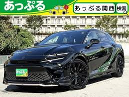 Image result for Black 1983 Crown