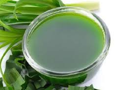 Manfaat daun pandan wangi tak hanya untuk mengharumkan masakan. Minum Air Rebusan Daun Pandan Khasiatnya Ternyata Luar Biasa