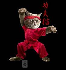 Karate cats maths and english, best of bett technology … play karate cats english game for kids | free online … Pin On Black Belt