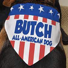 dog bandanas patriotic american flag