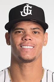 Yoan López minor league baseball statistics
