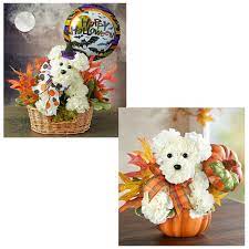 For example, clicking on a christmas offer of 20% off might show you a special 1800 flowers promo code to use during checkout. Halloween And Fall Flowers For Dog Lovers 1800flowers Coupon Codes Woof Woof Mama Dog Lovers Fall Flowers Halloween Flowers