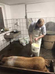 Seggebruch: Zu Besuch bei einem der letzten Hausschlachter Schaumburgs