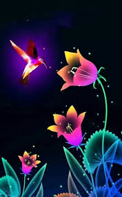 Colourful Birds And Butterflies Wallpaper Pin By Destiny Of Angels On Cellphone Wallpapers Colorful Wallpaper Flower Wallpaper Hummingbird Wallpaper