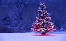 252 Christmas Lights Hd Wallpapers Background Images Wallpaper Abyss