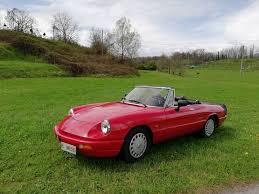 Image result for Rosso 1981 Alfa-Romeo