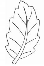 Zambitoare flori poza gratuite public domain pictures. Desene De Colorat Flori Qbebe Planse Si Imagini De Colorat Pagina 5