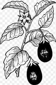Download 76 gambar kelinci makan wortel hitam. Terong Sayur Terong Makanan Daun Png Pngegg