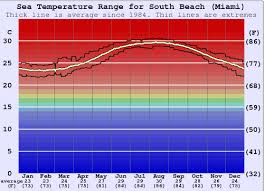 South Beach Miami Water Temperature Sea And Wetsuit