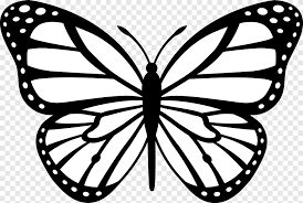 Dibujos en blanco y negro. Mariposa Monarca Insecto Blanco Y Negro Dibujos Animados En Blanco Y Negro Blanco Hoja Png Pngegg