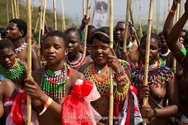 Zulu maidens gather for the annual reed dance in south. Pin On Zulu Lapho Engivelakhona
