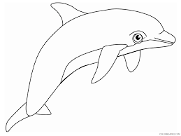 Dolphin coloring page 0001 (2) coloring page for kids and adults from marine mammals coloring pages, dolphin coloring pages. Dolphin Coloring Pages For Kids Coloring4free Coloring4free Com
