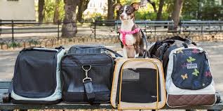 Best cat backpack for large cats: The Best Travel Carrier For Cats And Small Dogs Reviews By Wirecutter
