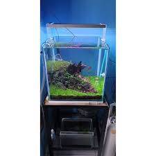 Beranda » cara membuat aquascape tanpa co2. Jual Fullset Tank Nano Aquascape 40cm Kota Tangerang Atap Hijau Tokopedia