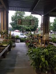 A place where heritage meets modernity, the national meets the. Growin Green Growin Green Nursery At The Raleigh Facebook