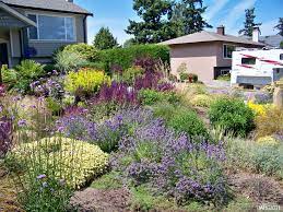 This living wall has basil, dusty miller, red salvia, rosemary, and sweet potato vine from the j.w. 5 Drought Tolerant Plants For Your Yard Artificial Turf Express