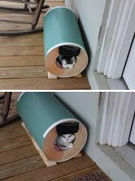 We got our feral cat shelter instructions from alley cat allies, a national advocacy organization dedicated to the protection and humane treatment of cats. Pin By Poostebloom On Living With Pets Outdoor Cat House Cat House Diy Feral Cat House
