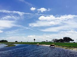 A partir de julio del 2021, el promedio de alquiler de apartamento en kissimmee, fl es $806 por un studio, $1,148 por un dormitorio, $1,230 por dos dormitorios, y $2,013 por tres dormitorios. Kissimmee Fl Vacation Rentals House Rentals More Vrbo