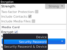 You follow the steps to reset your password on your device, the password reset email will be delivered to your device. Eppb Now Recovering Blackberry Device Passwords Elcomsoft Blog
