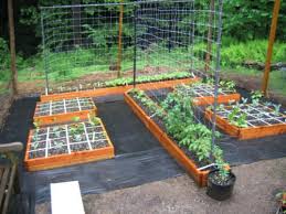 Square Foot Garden Square Foot Gardening Layout Vegetable Garden Design Square Foot Gardening