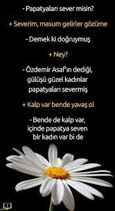 Papatyalari Sever Misin Severim Masum Gelirler Gozume Demek Ki Dogruymus Ney Ozdemir Asaf In Dedigi Gulusu Guze Guzel Soz Bff Sozleri Ozlu Sozler