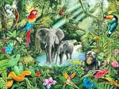Jungle – remarkable print on canvas– Photowall