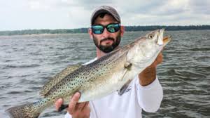 Maybe you would like to learn more about one of these? New River S Artificial Reef Is Trout Central In The Fall For Carolina Anglers