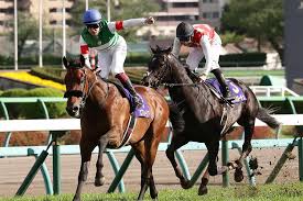 2021年（2021 ねん）は、西暦（グレゴリオ暦）による、金曜日から始まる平年。令和3年。 この項目では、国際的な視点に基づいた2021年について記載する。 干支：辛丑（かのと うし）. Hrd9plwpnv4trm