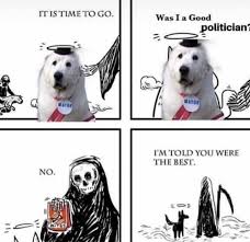 Rest In Piece Mayor Duke Funny Memes Memes Instagram Funny