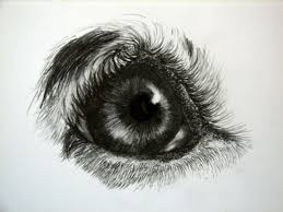 10 great drawing ideas when you are boring. 40 Realistic Pencil Drawing Ideas Realistic Sketch Eyes Animal Drawings Dog Paintings